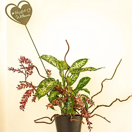 Gaestehaus Marion 3* Sankt Peter ob Judenburg